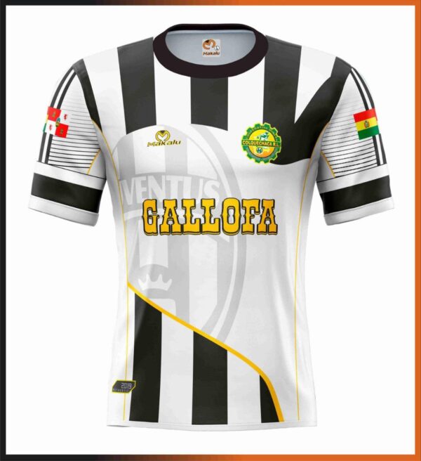 polera sublimada