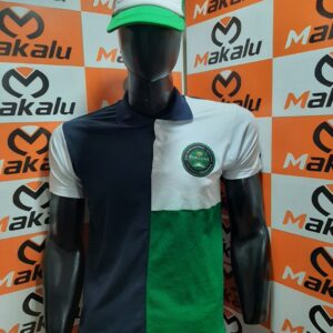 Poleras confeccionadas(polos)
